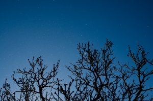 Snowstorm cloudless sky morning Dec 27_1DW3917